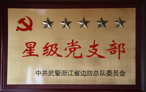 荣获“先进党支部”称号的致辞