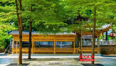 2008年陕西省高考满分作文与评论（与妻子合着）（全国1卷）_1000字