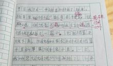 一年级期末考试作文：课余生活（三）_400字