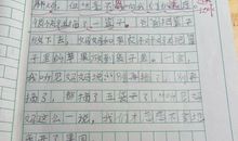 一年级期末考试作文：我理想中的课余生活（三）_400字