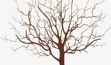 大树和小树_650字