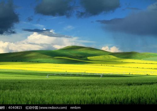 看着快乐的田野_700字