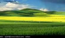 守望幸福的田野_700字