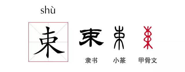 学校礼物_250字