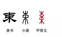 开学礼物_250字