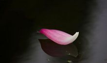 世界另一头_900字