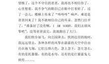 记事作文：放风筝_650字