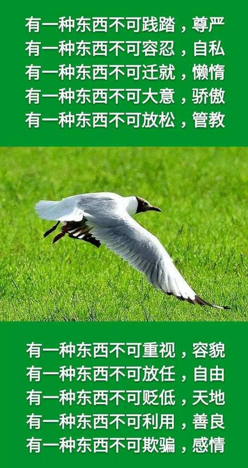 自尊被践踏50元_750字