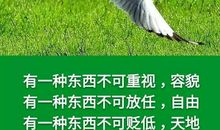 被50元践踏的自尊_750字