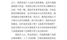 写景作文：姥姥家的小院_450字