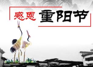 重阳节重阳节_900字