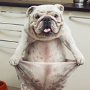 courage_150个单词的真实含义