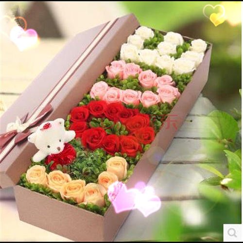 情人节组成：情人节Rose_750字