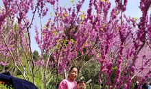 春天来了（王泽实）_400字