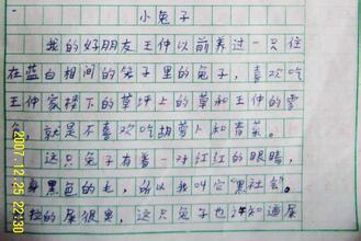 备注组成：体操训练_250字