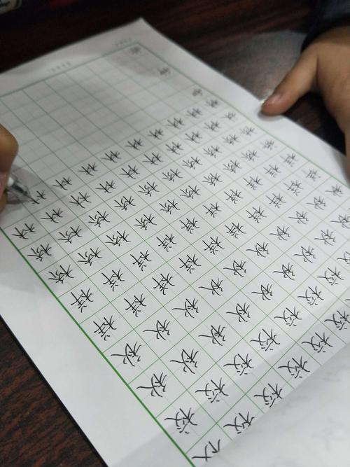 三年级的来信：老师，请等鲜花盛开_700字