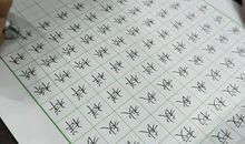 初三书信：老师，请静待花开_700字