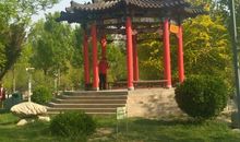 游香涛公园_400字