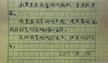 【微作文】我最喜欢的工艺品_200字