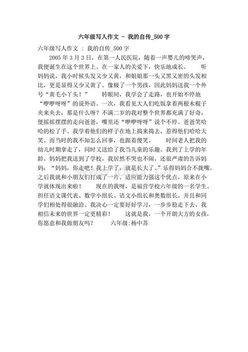 我的自传_500字