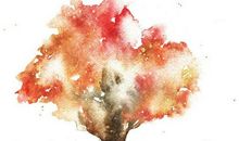 幸福的颜色_1500字