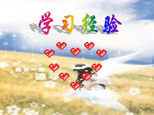 学习经验_550字