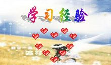 学习经验_550字