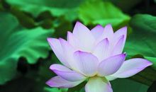 描写文化的优美段落