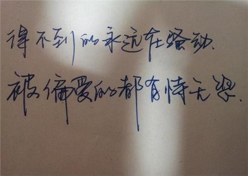 美丽句子的摘录。 1个