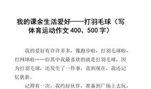 我的课余生活——羽毛球_250字