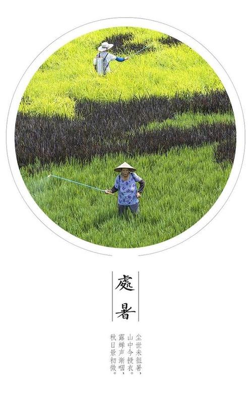 理化常识集-二十四个太阳能术语