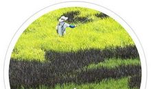 理化类常识集锦——二十四节气