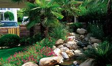 落梅庭榭香，芳草池塘绿。