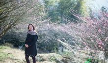 一朵江梅春带雪。玉软云娇，姑射肌肤洁。