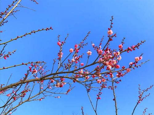 为了外观起见，请一个人抱着孤杰。