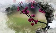 多谢梅花，伴我微吟。