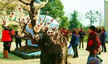 高情已逐晓云空。不与梨花同梦。