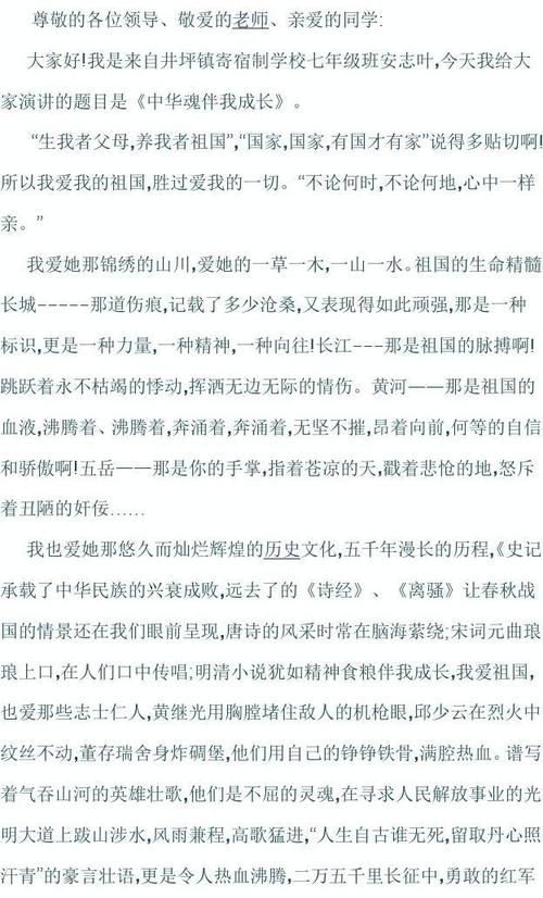“中国灵魂”演讲稿_900字