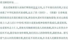 《中华魂》演讲稿_900字