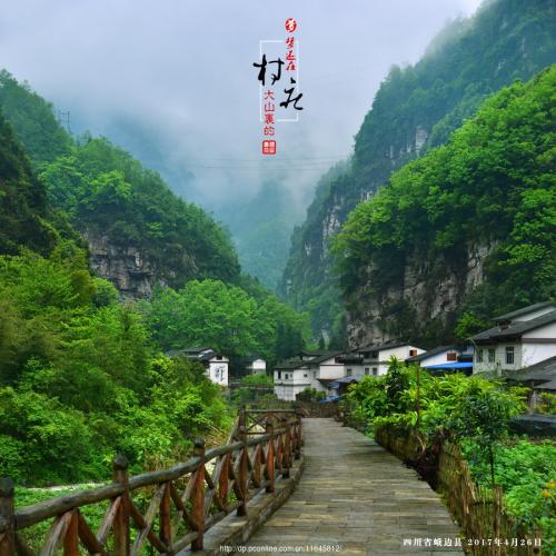 那年在山的深处_2000字
