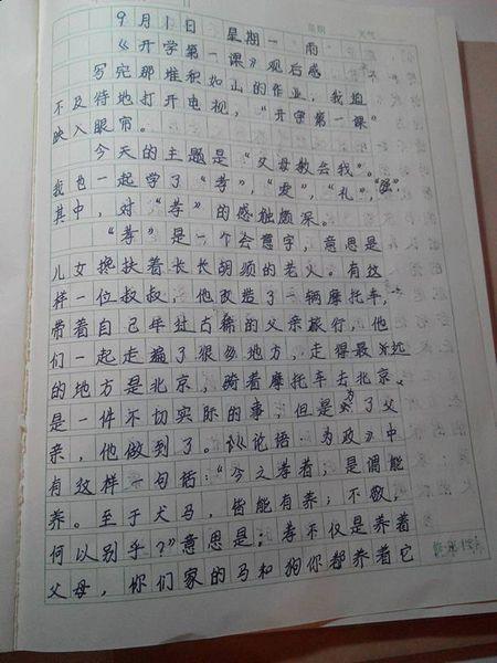 关于未来的构图：future_350个单词