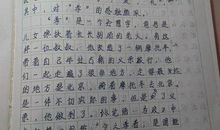 关于未来的作文：未来_350字