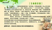 经典优美段落：经典的人生段落_3000字