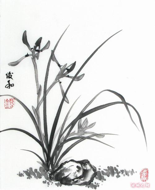 经典优美的段落：江南诗意的段落_800字