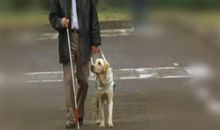 你的高傲，让我记住了你_750字