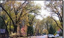 经典优美段落：陶醉雨中段落_550字