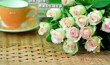 学会善待别人_800字