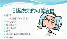 我想飞，我让你飞_1200字