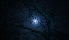 窗外的声音_350字