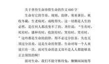 关于音乐的作文：音乐_800字